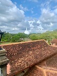 IMG_5026