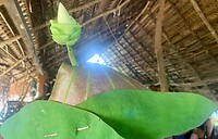 IMG_5249