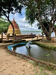 IMG_5288