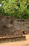 IMG_5305