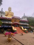 IMG_5412