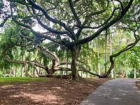 IMG_5541
