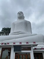 IMG_5621