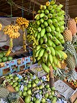 IMG_5684