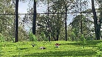 IMG_5696