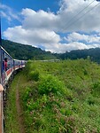 IMG_5773