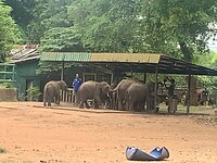 IMG_5967