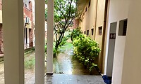 IMG_0689