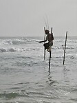IMG_0694