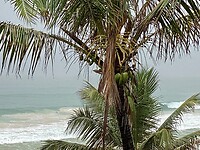 IMG_0697
