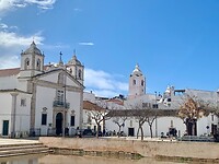 IMG_6358