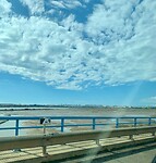 IMG_6374