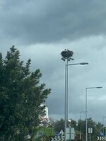 IMG_6369