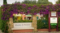 IMG_0830