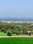 IMG_6440