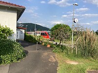 IMG_0904