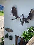 IMG_6509
