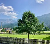 IMG_0918