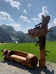 IMG_6587