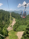 IMG_6559