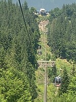 IMG_6560