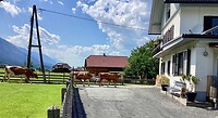 IMG_1013