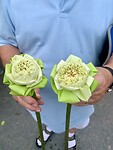 IMG_6925