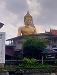 IMG_6989