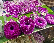 IMG_7001