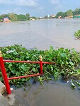 IMG_7039