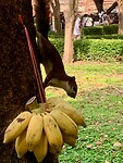 IMG_7094