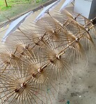 IMG_7253