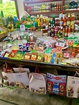 IMG_7290