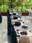IMG_7354