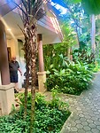 IMG_7494