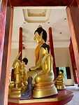 IMG_7544