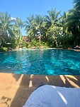 IMG_7590