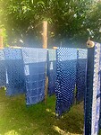 IMG_7787