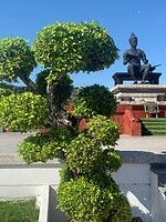 IMG_7859