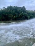 IMG_7953