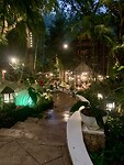 IMG_7959