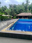 IMG_7978