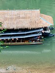 IMG_7982