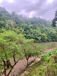 IMG_7983