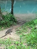 IMG_7994