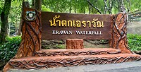 IMG_7998