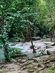 IMG_7997