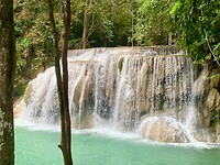 IMG_8003