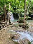 IMG_8005