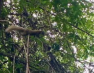 IMG_8017